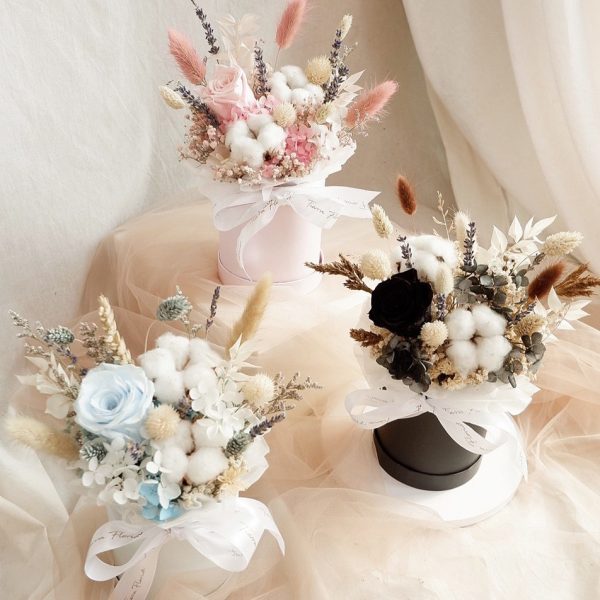 096F8008-0414-46B4-93A5-DC13DDB1C545