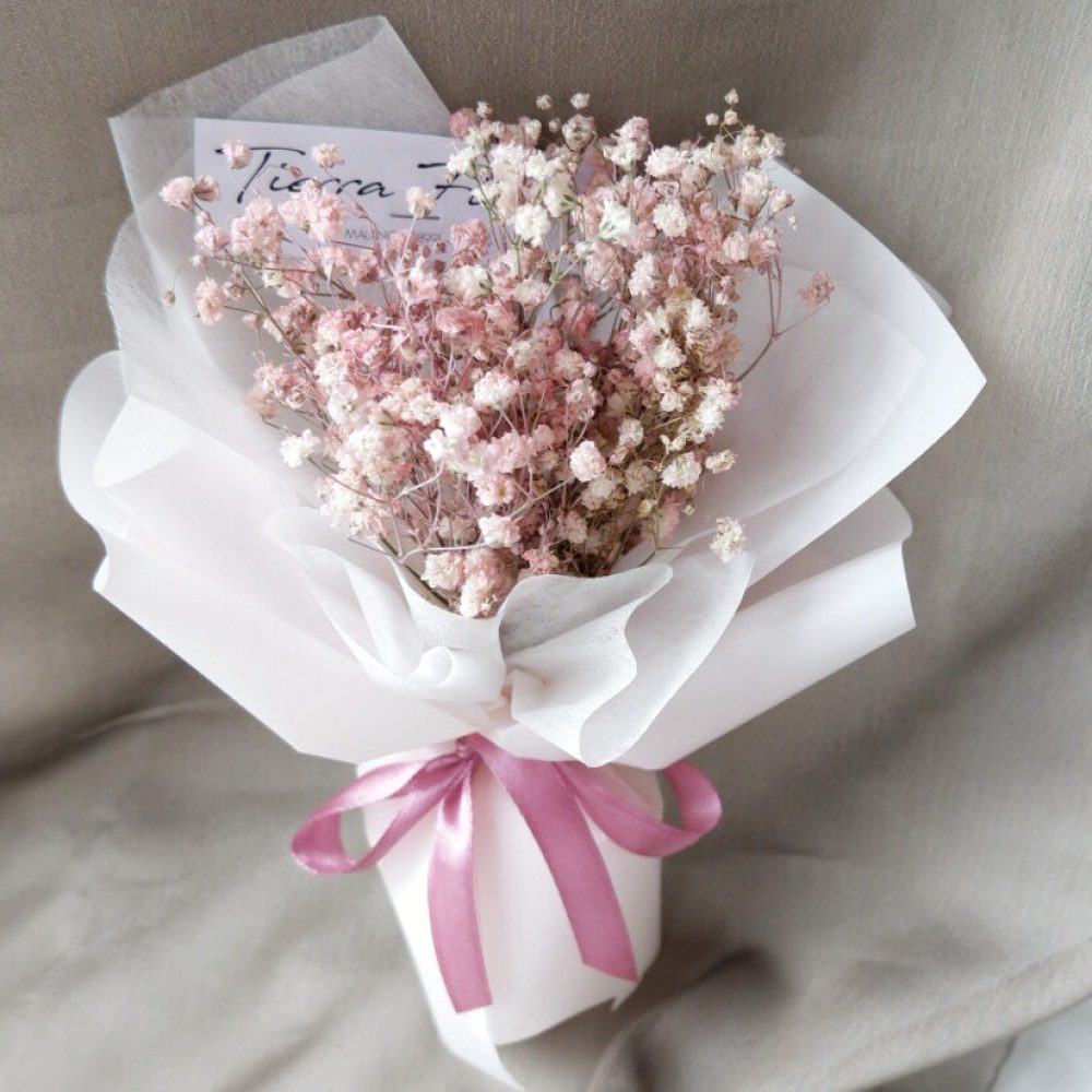 1C12BF03-A0A3-431A-B870-216577A9FB61