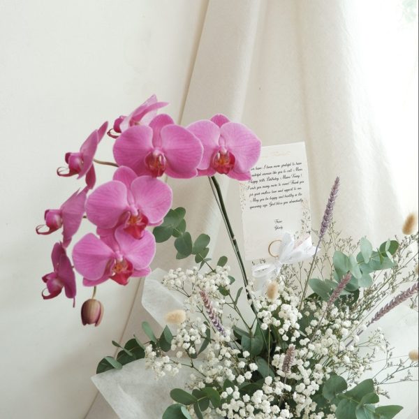 26DDEEC5-AD27-414F-A407-840ACF1E3573-1902-00000174B891E151