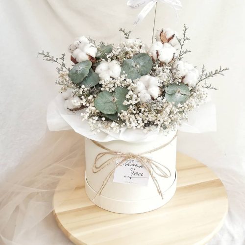 5402FEB6-6658-4C7A-8EDE-0A8F71D49988