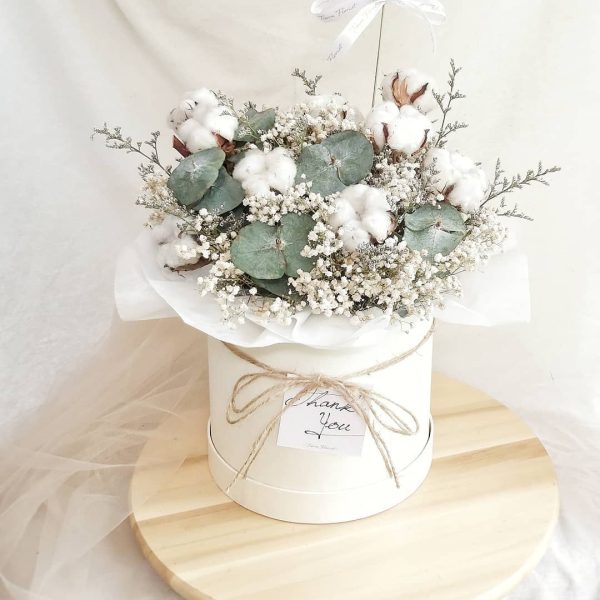 5402FEB6-6658-4C7A-8EDE-0A8F71D49988