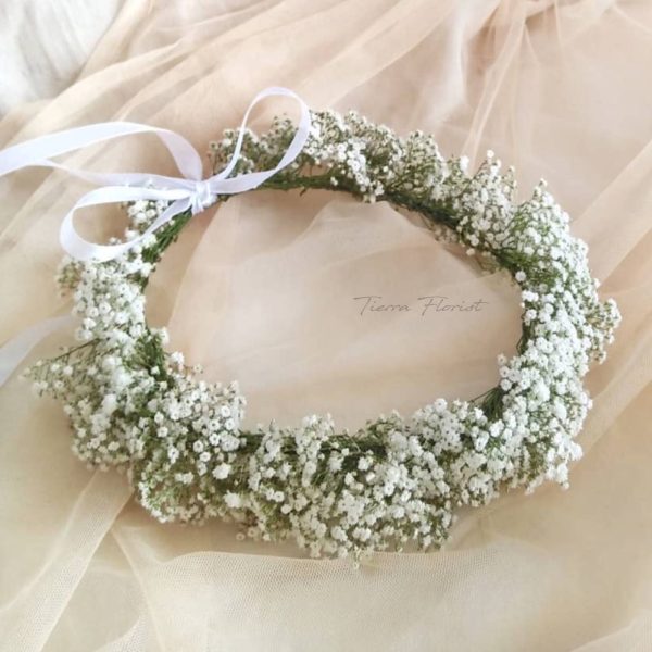 9FB79C27-633D-488B-9DC3-F2CC4E62A45F