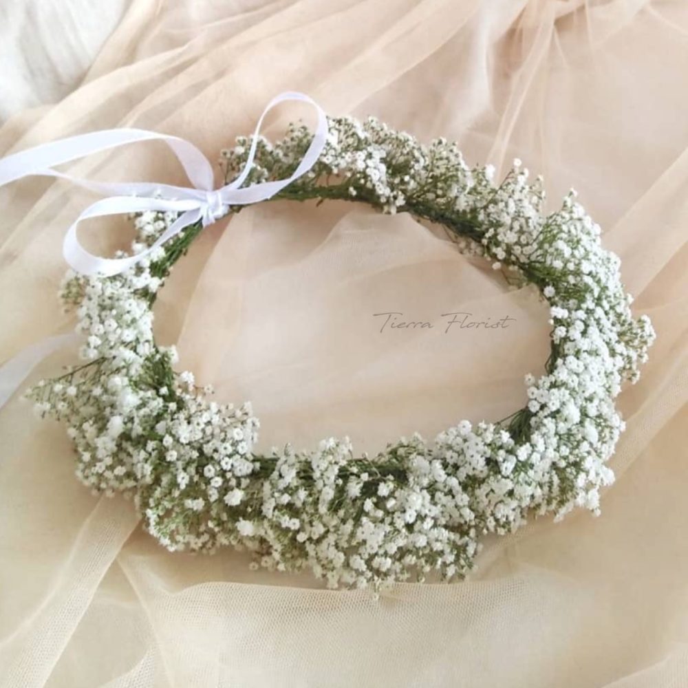 9FB79C27-633D-488B-9DC3-F2CC4E62A45F