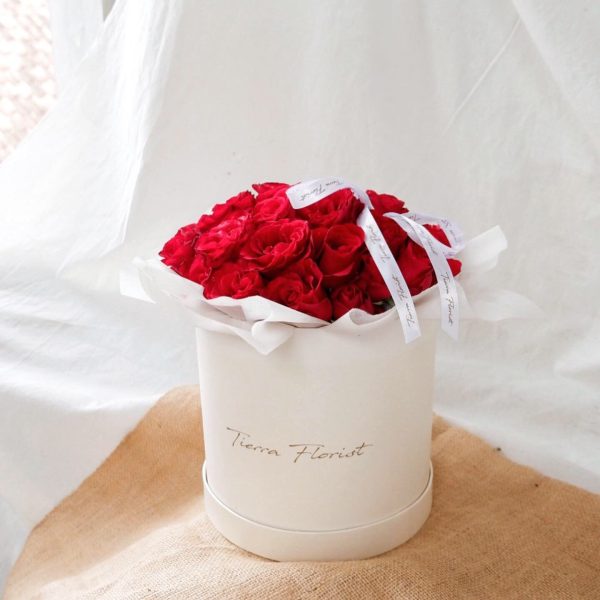 E9CCDBD1-76A8-4047-8747-1BACA6AA9C7C