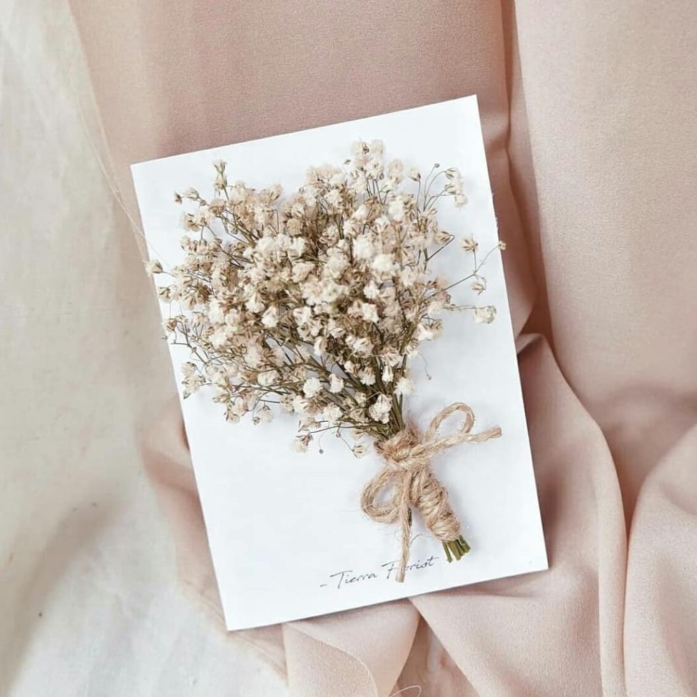 F2E110E6-B7CE-4088-9F59-2BBEA19DC24E